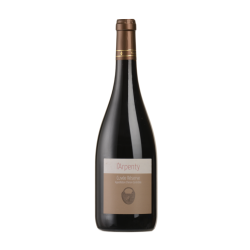 L'Arpenty Cuvée Réserve - Chinon - 2020