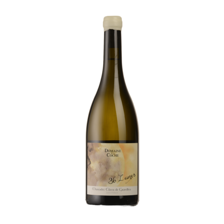 Muscadet Côtes de Grandlieu Sur Lie - 36 lunes 2019