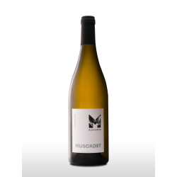 Muscadet coteaux de la Loire 2023 - Domaine Merceron